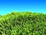 toon_grass_test.jpg